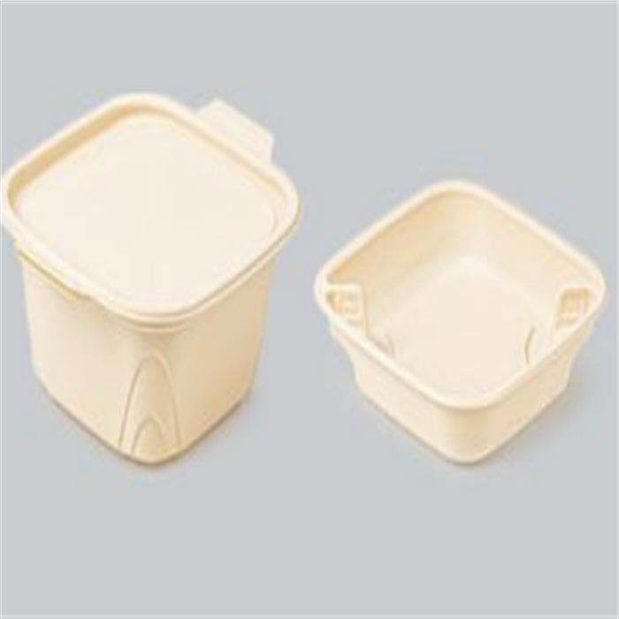 Bio-degradable bowl  from disposablesInc.com Import  disposable items from China, The best import service in China. 